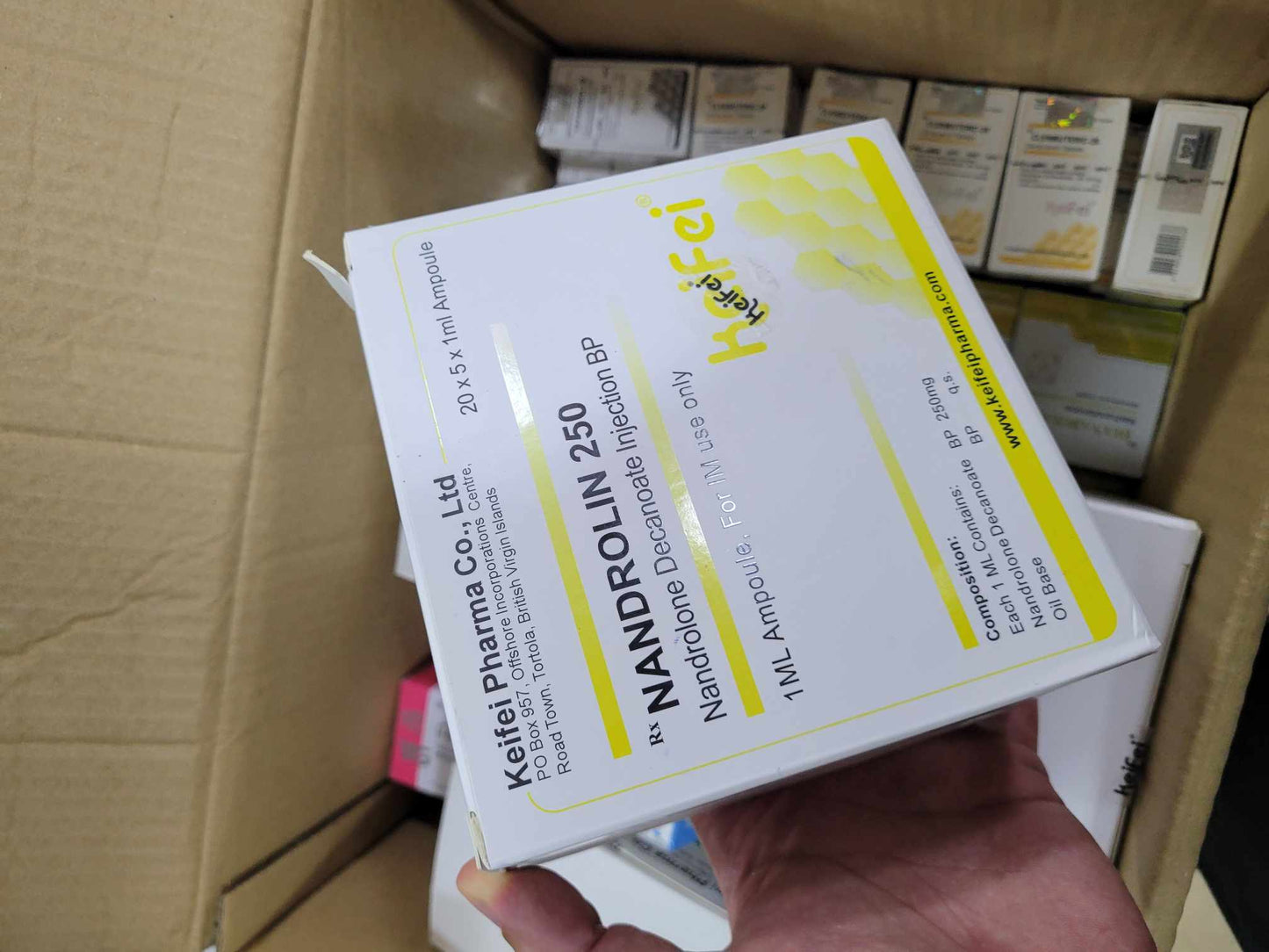 NANDROLONE 250
