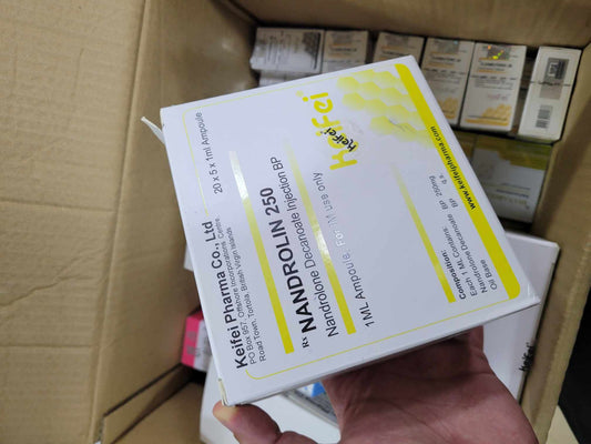 NANDROLONE 250